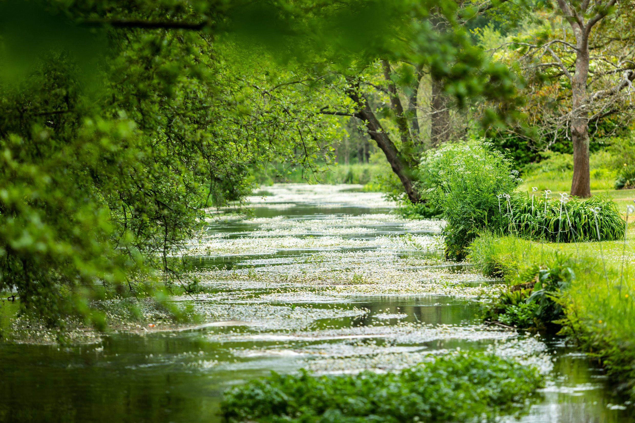 Step forward for water recycling project