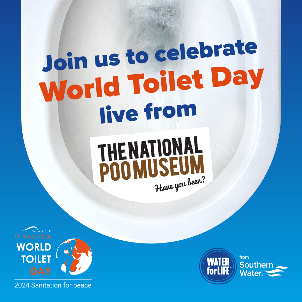 Marking World Toilet Day at National Poo Museum 