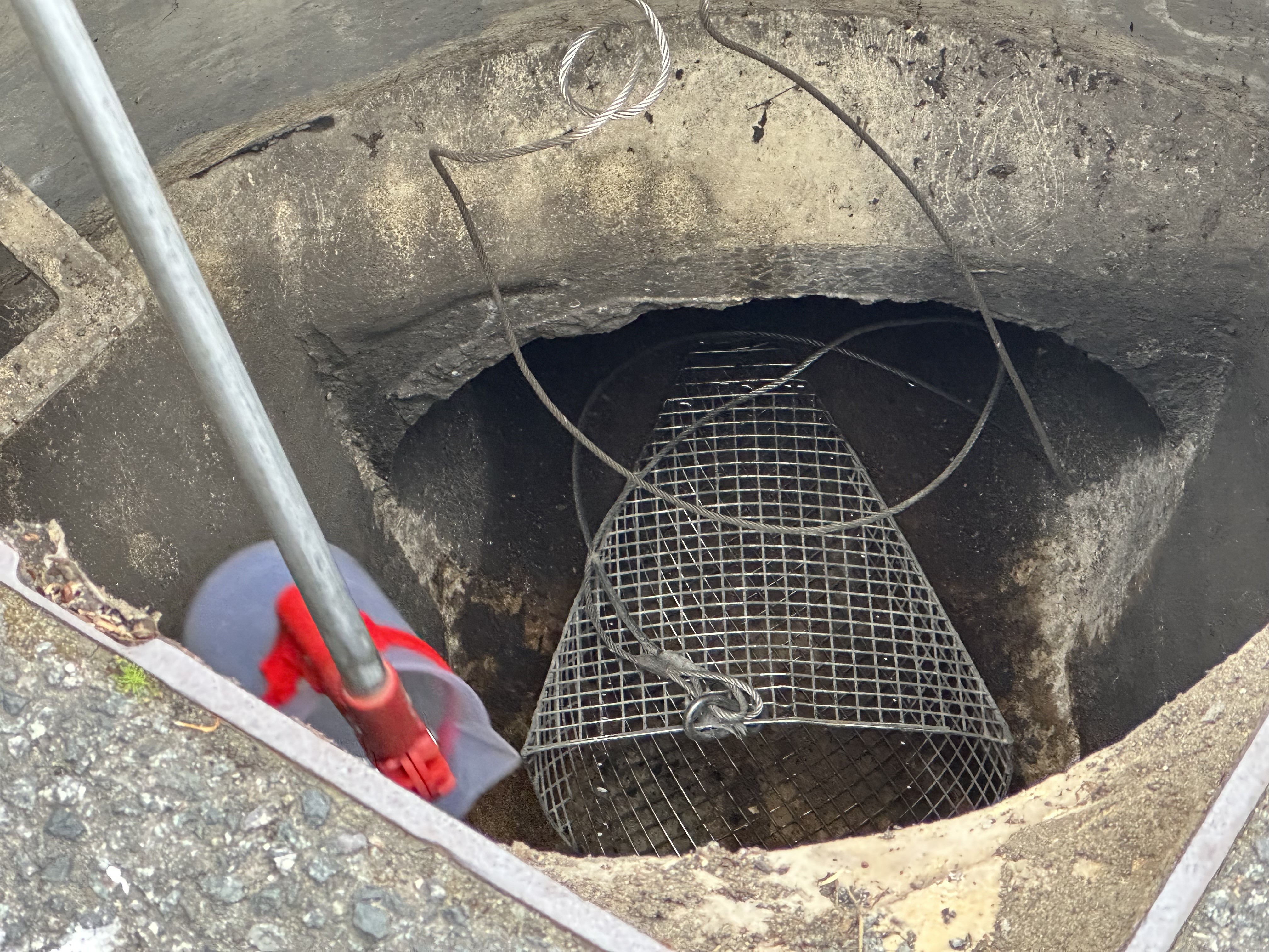 Illegal connections team expanded in water quality drive